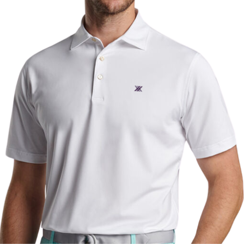 Men's Peter Millar Button Polo